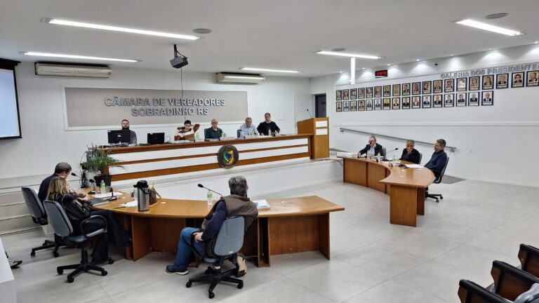 Mostra os vereadores durante sessão ordinária