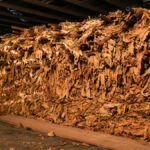 Preço do tabaco entra em pauta na próxima semana