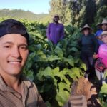 Dia Mundial do Produtor de Tabaco destaca importância econômica da fumicultura para a região Centro Serra