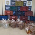 Polícia Civil apreende mais de 400 garrafas de bebida alcoólica irregular em Sobradinho