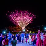 ONGs da causa animal do Centro-Serra alertam para proibição de fogos com barulho no RS