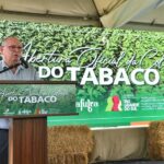 Negociação da tabela de preços do tabaco para a safra 2025/2026 deve ocorrer na segunda quinzena de janeiro