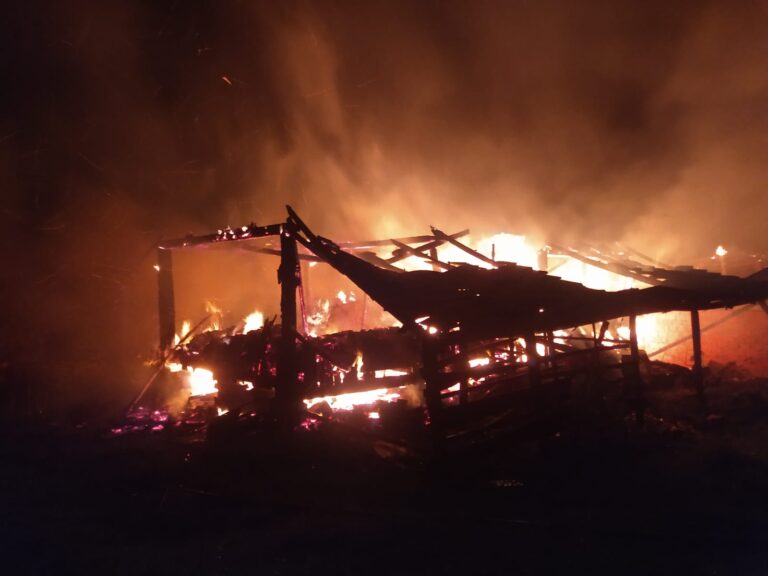 Produtor rural pede ajuda após incêndio causar grandes prejuízos em Linha Cascata