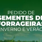 Inscrições abertas para aquisição de sementes de forrageiras em Estrela Velha