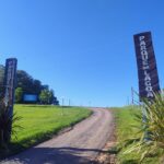 Parque de Eventos se consolida como espaço de convivência, cultura e identidade em Lagoa Bonita do Sul