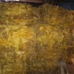 Indústrias dão início à compra do tabaco mesmo sem preço mínimo definido