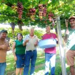 Visita ao Vinhedo da Nona reforça turismo rural em Segredo