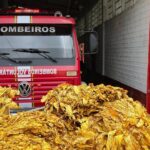 Bombeiros de Arroio do Tigre dão continuidade à tradicional campanha do fumo