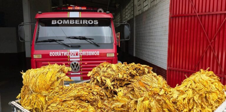 Bombeiros de Arroio do Tigre dão continuidade à tradicional campanha do fumo