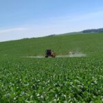 Clima adverso impacta lavouras de soja e milho no RS