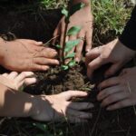 Programa Verde é Vida completa 35 anos reforçando educação ambiental e rural