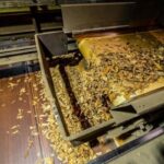 Indústria do tabaco deve abrir 9,1 mil vagas temporárias na safra em Santa Cruz do Sul