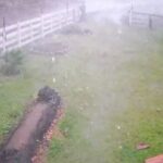 Temporal com forte vento causa estragos em propriedade rural no interior de Sobradinho