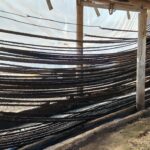 Furto de 300 quilos de fumo em corda gera prejuízo de R$ 15 mil em Segredo