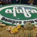 Pavilhão da Agricultura Familiar bate recorde de vendas na 24ª Expoagro Afubra