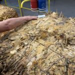 Comissão de produtores de tabaco percorre empresas fumageiras e cobra maior valorização do tabaco