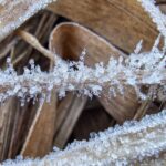 Primeira geada do ano no Centro Serra é registrada nesta terça-feira