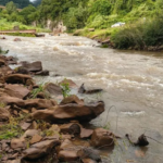 Corpo de homem desaparecido é encontrado no Arroio Carijinho