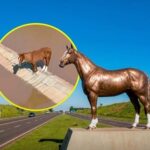 Estrela terá estátua de 4 metros em homenagem ao cavalo Caramelo, símbolo das enchentes no RS
