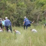 Afubra reforça compromisso com a sustentabilidade no Dia Mundial do Meio Ambiente