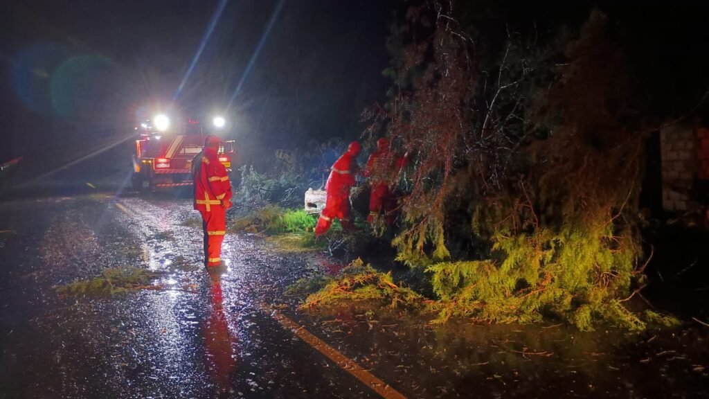 Temporal provoca destelhamentos, queda de árvores e danos no Centro Serra