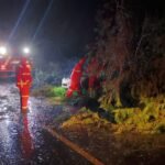 Temporal provoca destelhamentos, queda de árvores e danos no Centro Serra