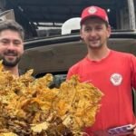 Bombeiros Voluntários de Sobradinho prestam contas da tradicional Campanha do Fumo