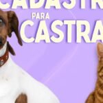 Prefeitura de Sobradinho promove pré-inscrição de cães e gatos para programa de castração