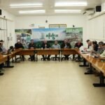 Safra de tabaco sul-brasileira 2025/2026 fecha em 710.229 toneladas