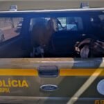 Operação integrada recupera animais furtados e prende homem por porte ilegal de arma em Passa Sete